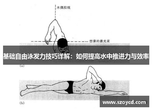 基础自由泳发力技巧详解：如何提高水中推进力与效率