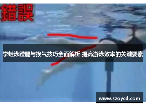 学蛙泳蹬腿与换气技巧全面解析 提高游泳效率的关键要素
