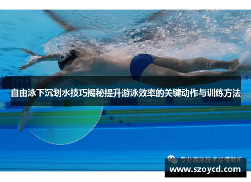 自由泳下沉划水技巧揭秘提升游泳效率的关键动作与训练方法