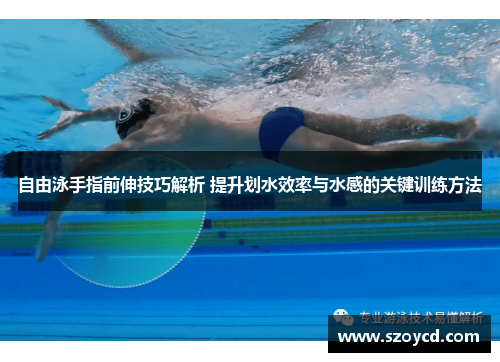 自由泳手指前伸技巧解析 提升划水效率与水感的关键训练方法