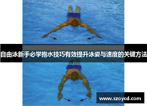 自由泳新手必学抱水技巧有效提升泳姿与速度的关键方法