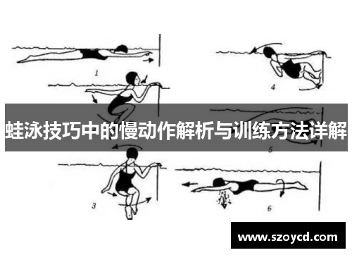 蛙泳技巧中的慢动作解析与训练方法详解