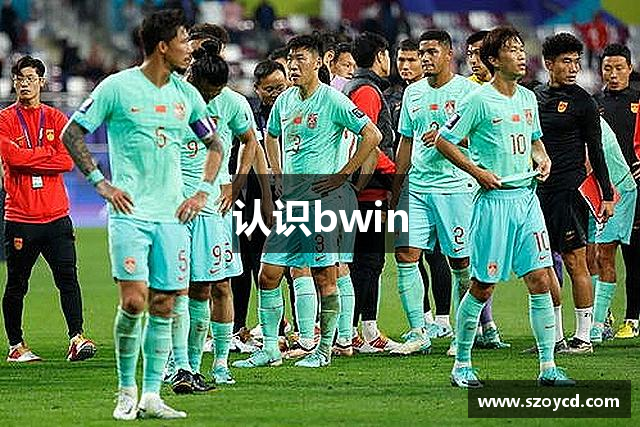 认识bwin